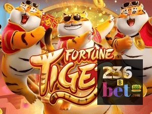 Guia install APK 236BET BR