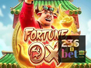 236BET login — painel de entrada no app oficial